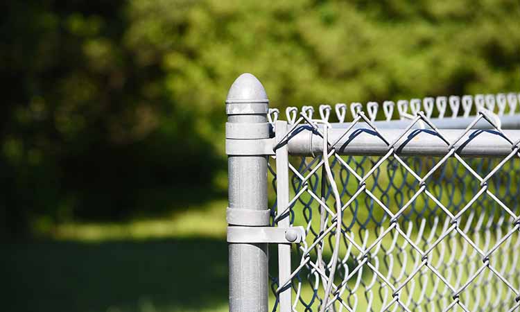 Chain-link fence