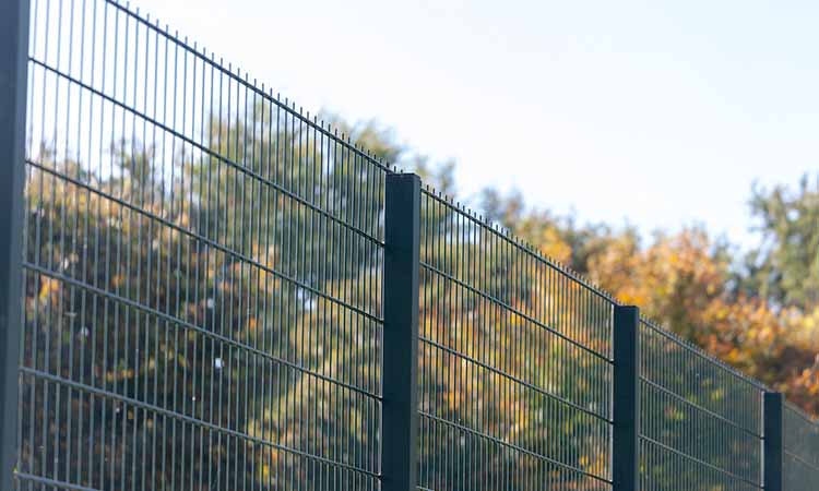 insert-fall-fence Mesh Wire Fence in Fall Season